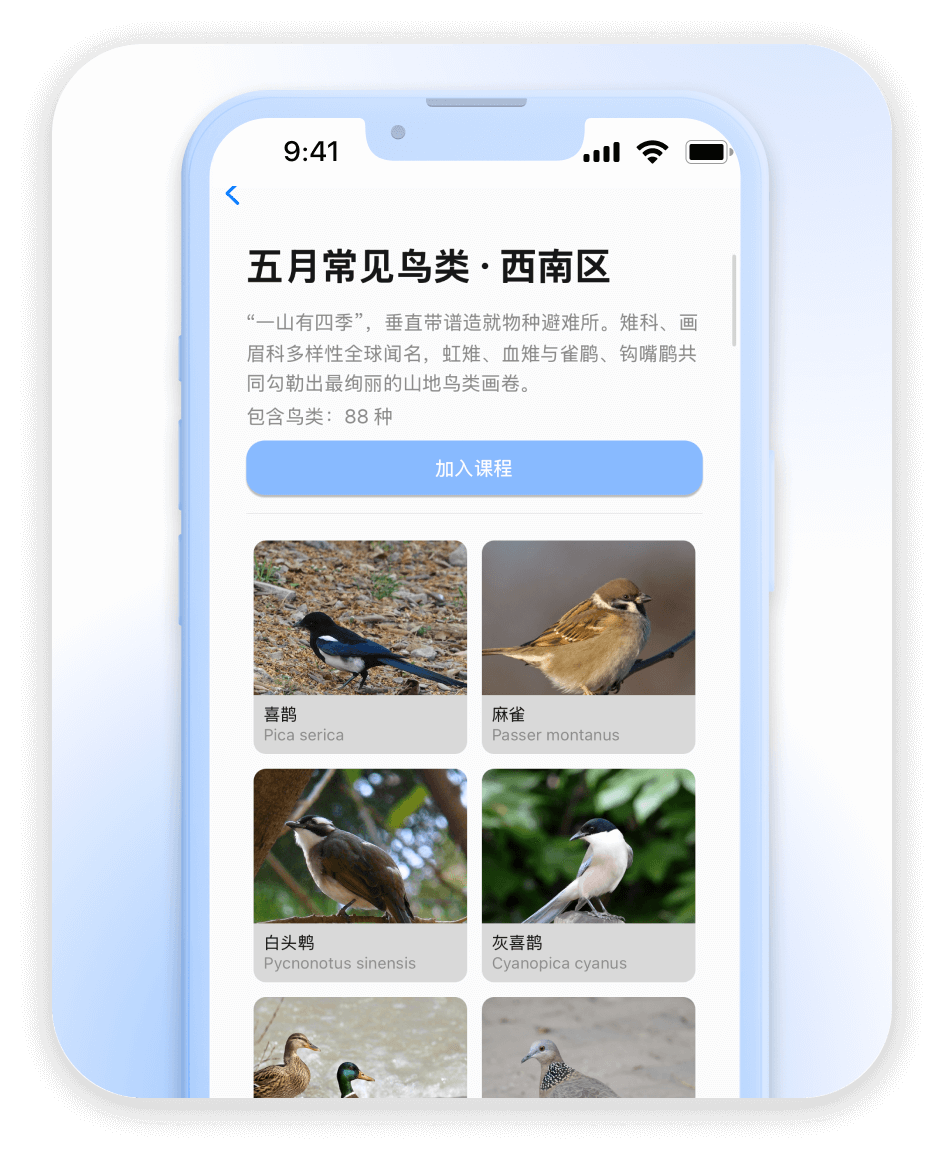 Curated Photo Library